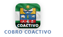 Cobro Coactivo
